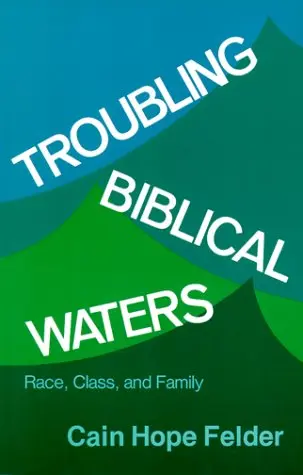 Cover of Troubling Biblical Waters