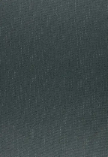 Cover of Dumbarton Oaks Papers V55
