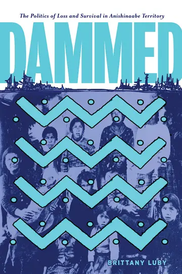 Cover of Dammed
