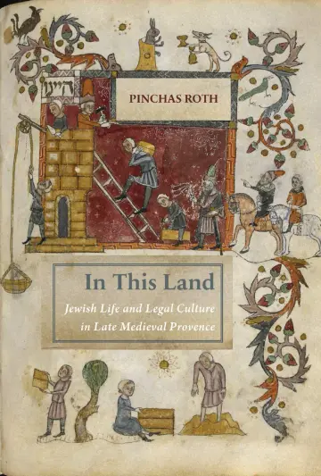 Cover of In This Land