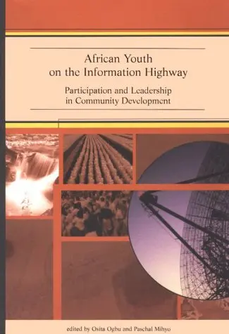 Cover of African Youth on the Information Highway
