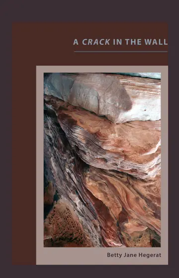 Cover of A Crack in the Wall