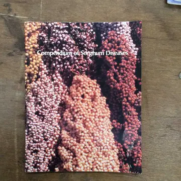 Cover of Compendium of Sorghum Diseases