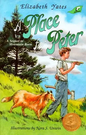 Cover of A Place for Peter
