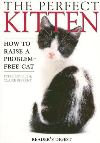 Cover of Perfect Kitten