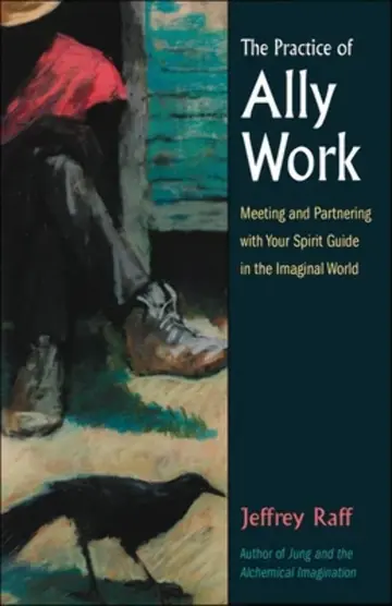 Cover of The Practice of Ally Work