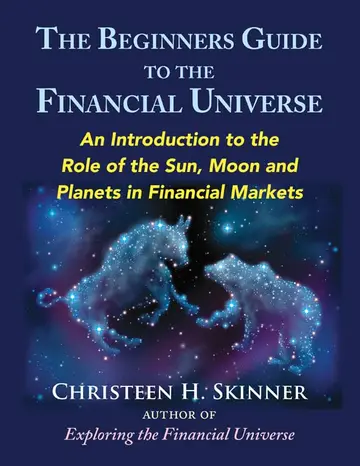 Cover of The Beginners Guide to the Financial Universe