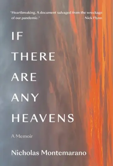 Cover of If There Are Any Heavens