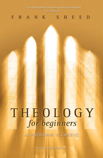 Cover of Theology for Beginners