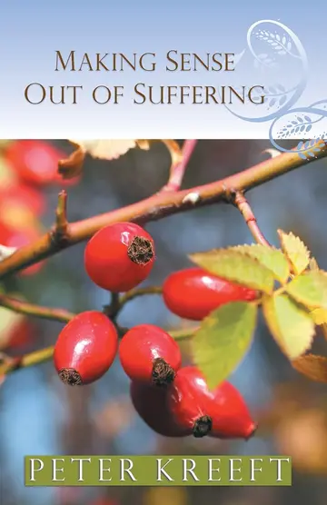 Cover of Making Sense Out of Suffering