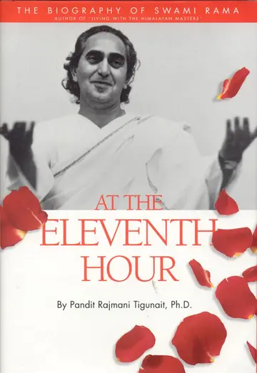 Cover of At the Eleventh Hour