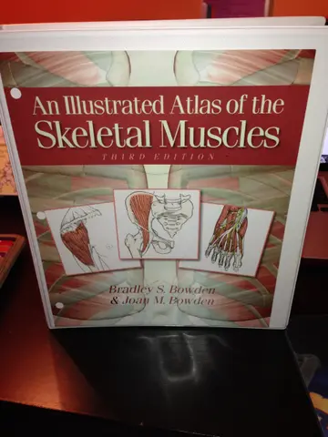Cover of An Illustrated Atlas of the Skeletal Muscles
