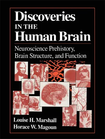 Cover of Discoveries in the Human Brain