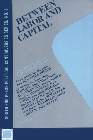 Cover of Between Labor and Capital