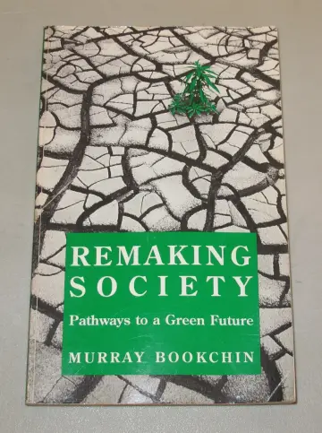 Cover of Remaking Society