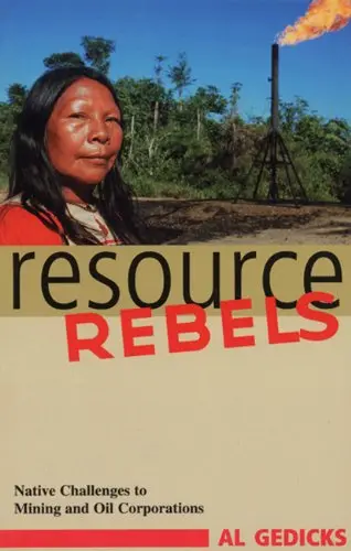Cover of Resource Rebels