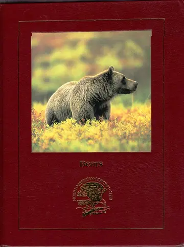 Cover of Bears