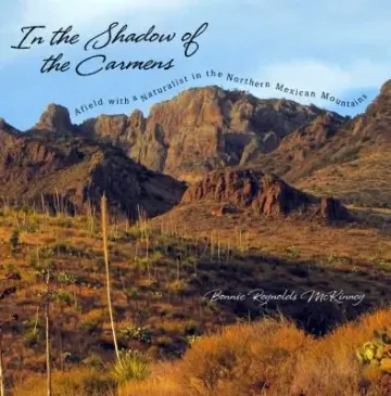 Cover of In the Shadow of the Carmens
