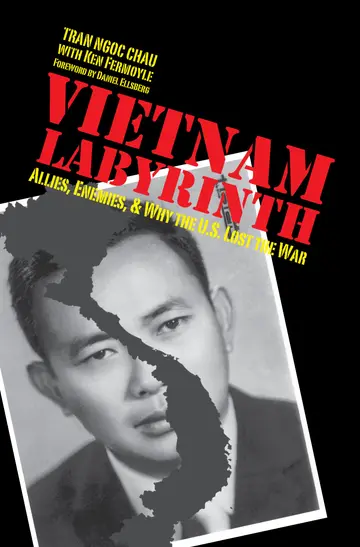 Cover of Vietnam Labyrinth