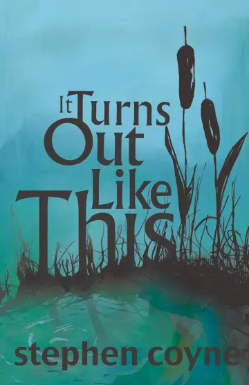 Cover of It Turns Out Like This