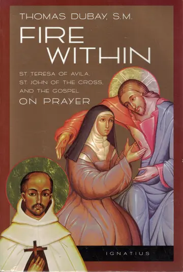 Cover of Fire Within