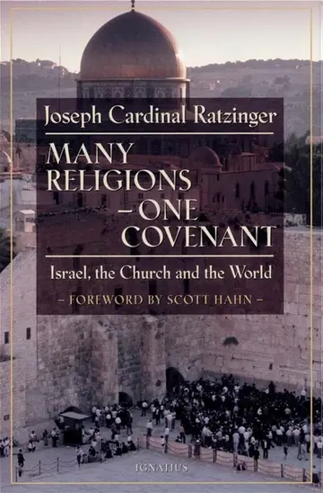 Cover of Many Religions - One Covenant