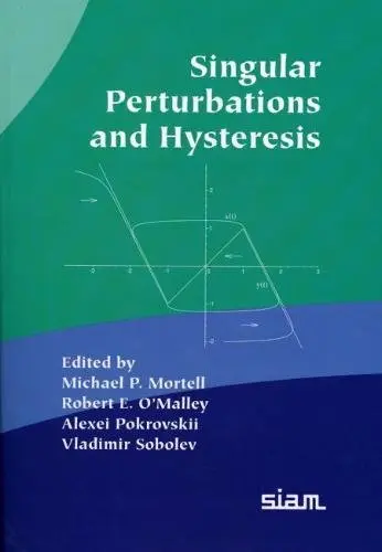 Cover of Singular Perturbation and Hysteresis