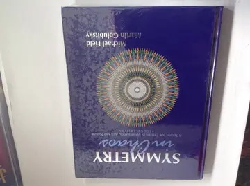 Cover of Symmetry in Chaos