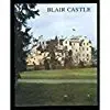 Cover of Blair Castle