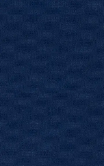 Cover of Godly People
