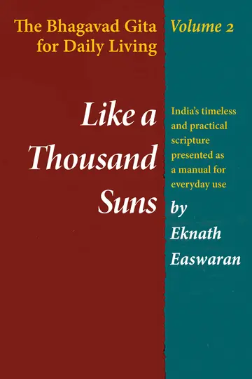 Cover of Like a Thousand Suns