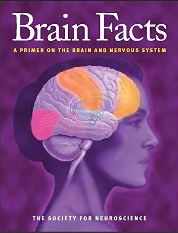 Cover of Brain Facts