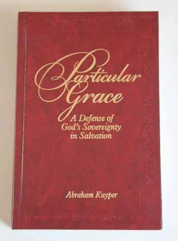 Cover of Particular Grace