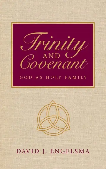 Cover of Trinity and Covenant