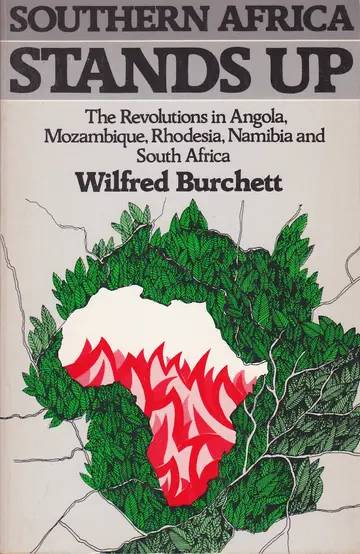 Cover of Southern Africa Stands up