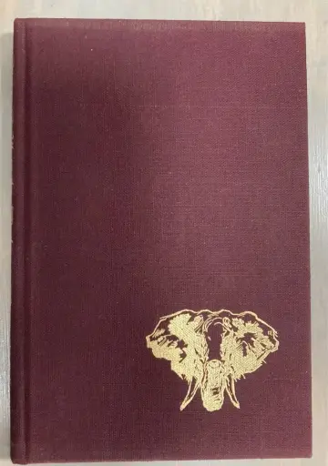 Cover of Queens Walk in the Dusk