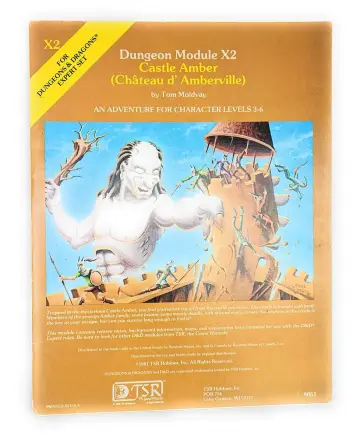 Cover of Castle Amber (Chateau d' Amberville)
