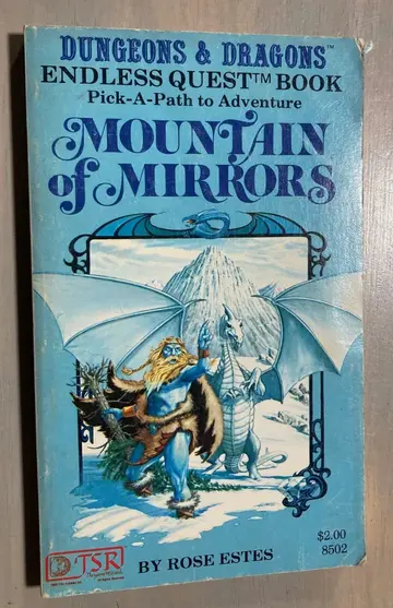 Cover of Mountain of Mirrors