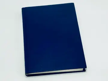 Cover of America Balkanized