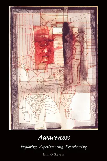 Cover of A Child's Eye View