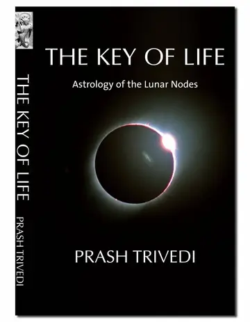 Cover of The Key of Life