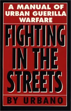 Cover of Fighting in the Streets