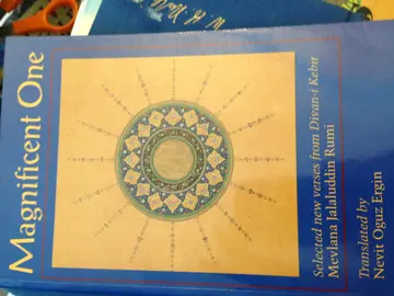 Cover of Magnificent One