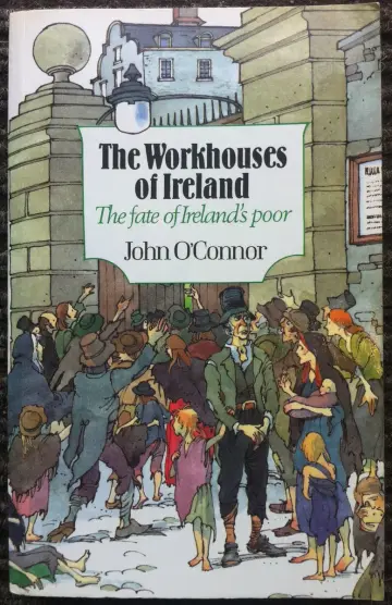 Cover of The Workhouses of Ireland