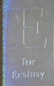 Cover of E for Ecstasy