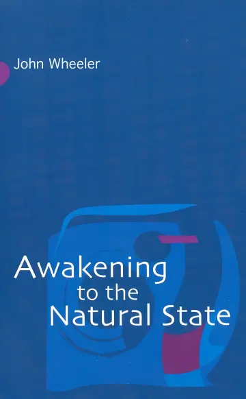 Cover of Awakening to the Natural State