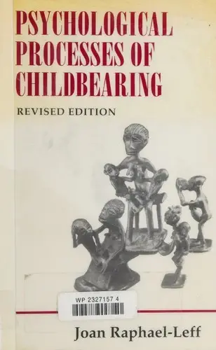 Cover of The Psychological Processes of Childbearing