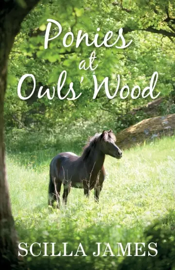 Cover of Ponies at Owls' Wood