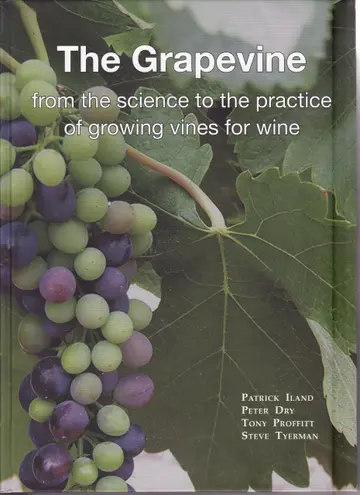 Cover of The Grapevine