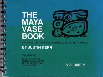 Cover of The Maya Vase Book